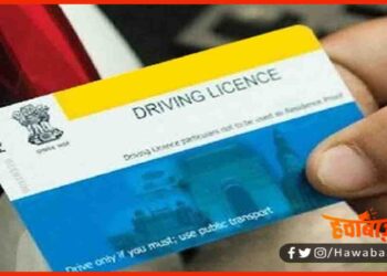 RC, Dl, Online Aaadhar, Aadhar card online,