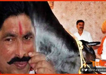 Anant Singh, Bahubali anant singh, Anant singh Mokama, RJD seat, Bihar chunav