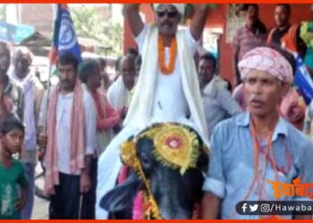 Netaji, Bihar, Bihar Chunav, Bihar Election, Bihara Chunav 2020, PDA Candidate,