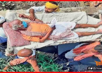 Vote, electoin, Bihar Chunav, Loktantra ki sundar tasveer, Bihar Chunav,