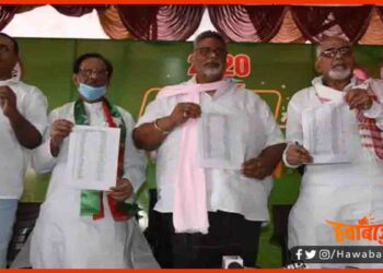 Pappu Yadav, JAP, Bihar Chunav, Bihar Chunavi Khabar, Bihar Hindi News,