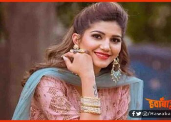 Sapna Choudhary, Become Mother, Sapna Choudhary, Troll, Troller, Sapna Choudhary Troll, Social Media,