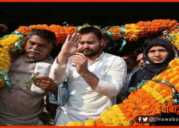 Heena Shahab, Shahbuddin, Bihar Chunav, Bihar Chunav 2020, Bihar Khabar,