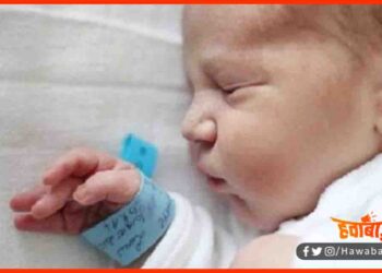 Baby Girl Killed by mother, Baby girl found dead, Mom Killed baby girl, Bihar news, Bihar hindi news, Bihar lettest news, Bihar update, Bihar khabar, Bihar hindi news,