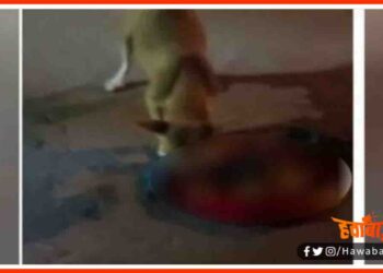 NMCH, Viral Video, Bihar News, Patna news,