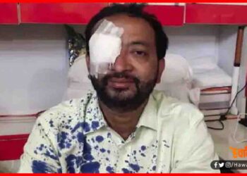 Plurals, Pushpam Priya Choudhary, Bihar Chunav, Chemical Ink Attack, Bihar Chunav 2020,