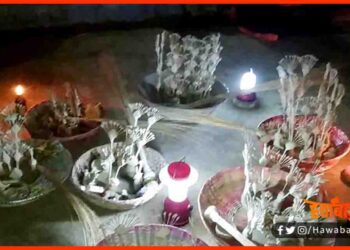 Sama Chakewa, Sama, Indian Culture, Bihar Culture, Bihar news, Bihar hindi news,