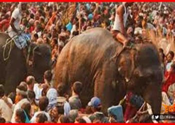 Sonpur Mela, Sonpur Mela Theater, Shobha Samrath Theater,