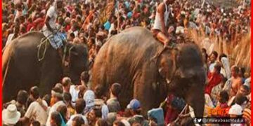 Sonpur Mela, Sonpur Mela Theater, Shobha Samrath Theater,