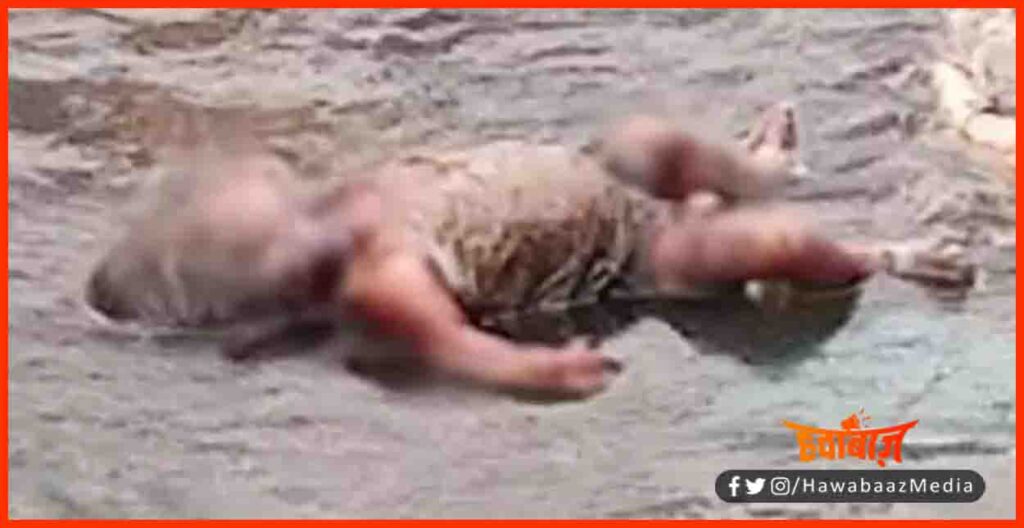 Baby Girl Killed by mother, Baby girl found dead, Mom Killed baby girl, Bihar news, Bihar hindi news, Bihar lettest news, Bihar update, Bihar khabar, Bihar hindi news,
