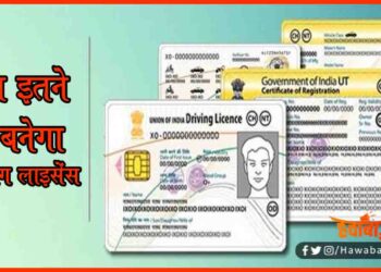 DL Fee, How to made DL, Driving Licence, DL fee, Learning Licence fee,