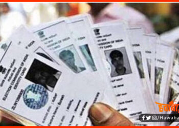 Voter ID card, New Voters, How to cast vote, Voter id download, Voter card, aadhar card,