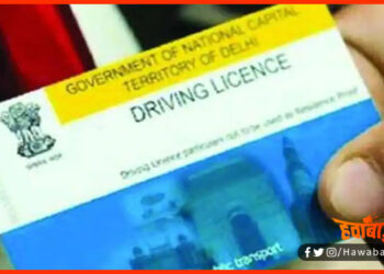 DL, Driving LIcence, How to make DL, How to make DL with Aadhar, DL Made easy, Bihar news, Bihar hindi news, Bihar khabar,
