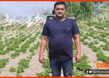 Lakhtakiya Kisan, Amresh Singh, Bihar kisan, Bihar ka farzi kisan, Bihar ka farzi kisan, Hop Shoot, Bihar news, Bihar hindi news,