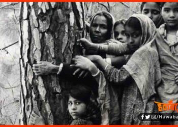 Gaura Devi, Chipko Andolan, Chipko andolan ki Shuruwat in Dehradun, Utrrakhand, news, Chamauli News, Sucess Story, Hindi me sucess story, Bihar hindi news,