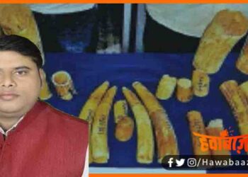 BJP Jiladhyaksh, Chirayun Hospital, Hathi dant ki Taskri, BJP Jiladhyaksh Hathi dant ki taskri ke sath girftar, Bihar News, Bihar lettest news, Bihar update, Bihar khabar,