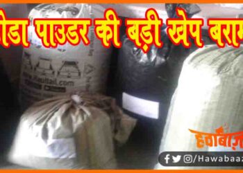 Doda Powder, Kya Hota hai Doda Powder, Doda Powder in Bihar, Doda se nasha kaise karte hain, Doda powder ka kya kam hai, Kaise kam karta hai doda, Bihar me doda kahan milega,