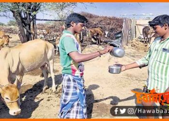 Free Milk to everyone, Yahan free me milta hai doodh, Gay ka doodh free me milta hai, Muft me lijiye gaay ka doodh, Gaushala, Azab gazab, Haydrabad, Ganjihalli village, Hydrabaad news,