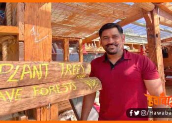 Mahendra Singh Dhoni, Plant Tree Save Life, Troll Ho Gaye Dhoni, Dhoni Troll on Instagram, m s dhoni troll on social media, MS Dhoni Troll on Twitter, Bihar news, Bihar lettest news, Bihar khabar, MS DHoni, Cricket,