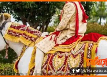 Corona Sankramit, Bihar, Dulha, Bihar news, Birpur news, Supaul news, Dulhe ki maut, Corona se dulhe ki maut, Birpur me dulhe ki maut,