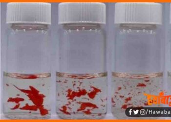 China ne banaya nasht hone wala plastic, Bio Digradable plastic, Biodegradable hoga plastic, China ka kamal, China ne banya magic plastic, China news, Internation news,