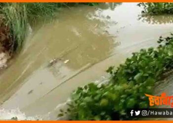 Darbhanga Ka Jamindari Bandh, Darbhanga Bandh Toot gaya, Darbhanga ka Jamindari Bandh, Darbhanga Bandh, Darbhanga, Bihar, Bihar me Baadh, Bihar me Bandh Toot gaya, Bihar news, Lettest news, Bihar khabar, Bihar hindi news, Bihar update, Bihar khabar, Bihar lettest news,