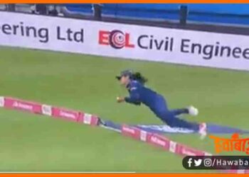 Harleen Deol, Harleen Deol Catch, India vs England T20, Cricket Match, Cricket news,
