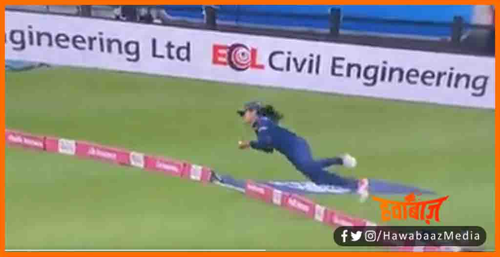 Harleen Deol, Harleen Deol Catch, India vs England T20, Cricket Match, Cricket news, 
