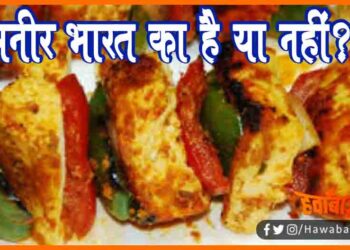 Is Paneer Indian or NOt, History of Paneer, Paneer kaise aaya bharat, Paneer ka itihas, Bharat me kaise aaya paneer, What is paneer, History of Cheez, Paneer ka avishkar kaise hua, Bharat me paneer ka itihas,