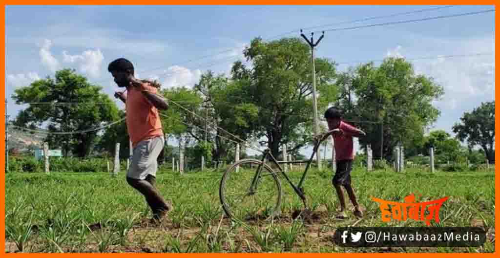 Kisan ne Bana diya Hal, New Kisan, Lockdown, Bihar, Tamilnadu, Kisan ne bete ke cycyle ko bana diya hal, Kisan khud kar rhe kheti, Real hero, Salute,