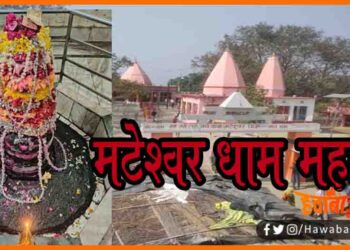 Mini Mateshwar Dham, Mateshwar dham mandir, Mateshwar Mandir, Ek Shivling Roj, Mateshwar dham mahadev, Bihar news, Ek Mahadev Roj, Shivling ki Kahani,