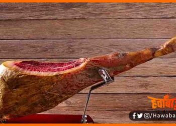 HAM, Duniya ka sabse mahnga maans, Ham kya hai, Ham ki kya keemat hai, Spen ka sabse mahnga meet, HAM suwar ka meat hai, HAM ka kya rate hai,