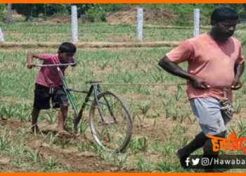Kisan ne Bana diya Hal, New Kisan, Lockdown, Bihar, Tamilnadu, Kisan ne bete ke cycyle ko bana diya hal, Kisan khud kar rhe kheti, Real hero, Salute,