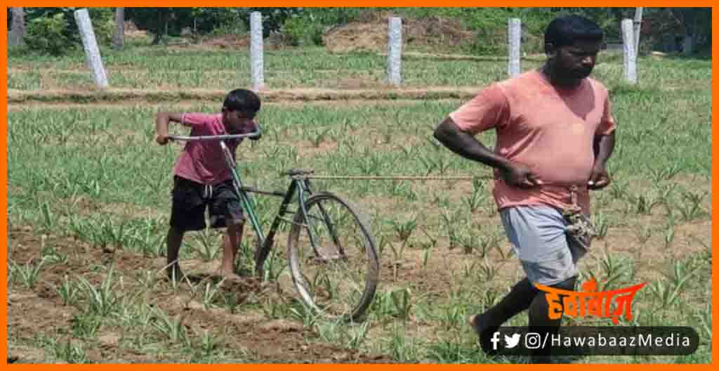 Kisan ne Bana diya Hal, New Kisan, Lockdown, Bihar, Tamilnadu, Kisan ne bete ke cycyle ko bana diya hal, Kisan khud kar rhe kheti, Real hero, Salute,