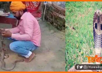 Nag ko Bandh Rahi thi rakhi, Nagin ne bhai ko das Liya, Rakshabandhan ke din nag ke dasne se bhai ki maut, Nagin News, Nag nagin ki khabar, Nag nagin ka samachar, Bihar news, Bihar lettest news, Bihar khabar, Bihar hindi news, Bihar udpate, Bihar hindi news,