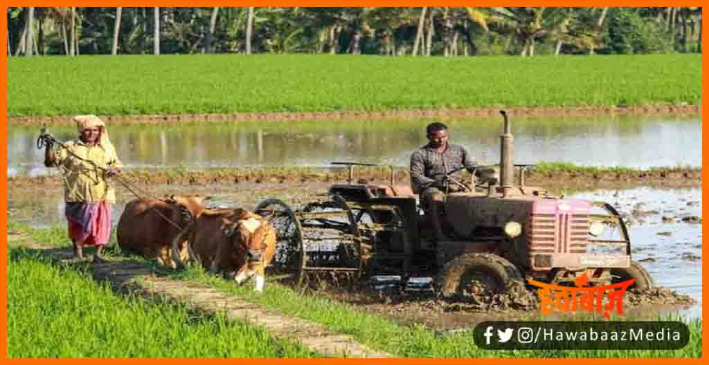PM Modi Tractor Anudan Yojna, Tracor yojna, Free Tractor Yojna, Bihar news, Narendra Modi Tractor Yojna, Narendra Modi free tractor yojna, Bihar lettest news, Bihar update, Bihar khabar,
