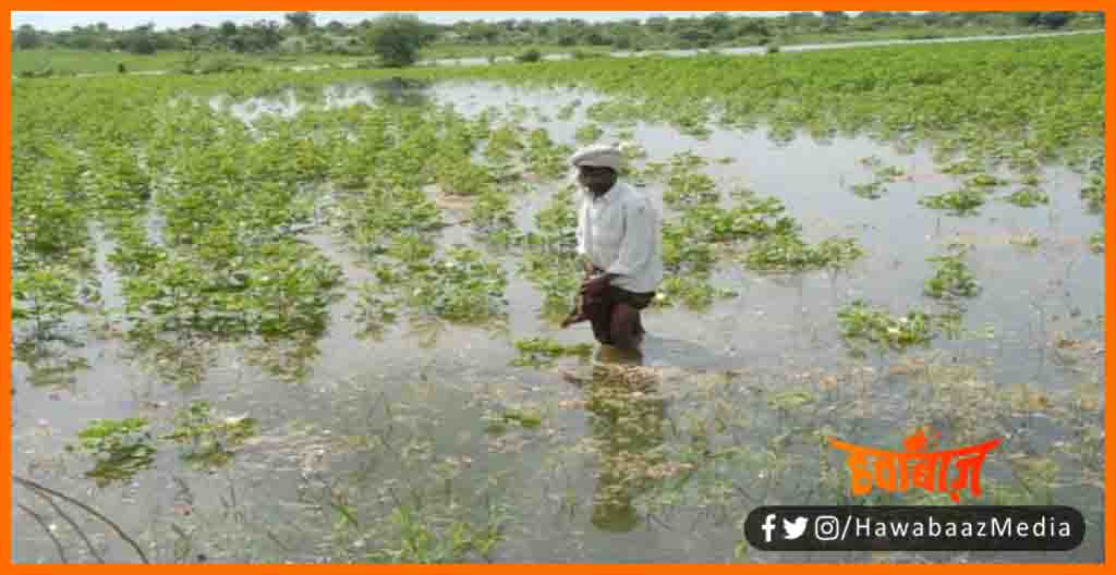 Fasal Chhatipurti, Bihar me Badh se dub gayi fasal par sarkar degi muawaja, Bihar news, Bihar lettest news, Fasal Chhatipurti, Fasal Bima yojna, Bihar govt, Bihar news