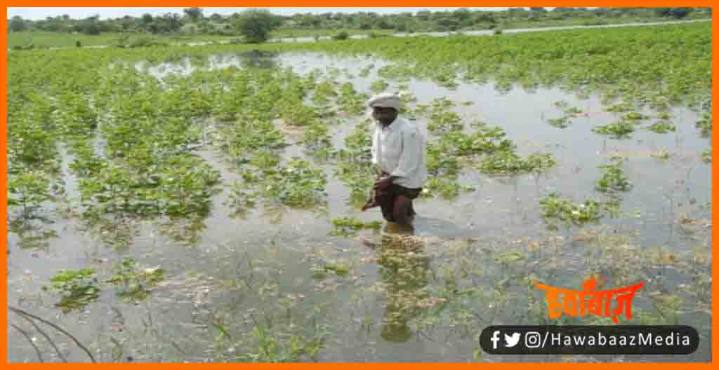 Fasal Chhatipurti, Bihar me Badh se dub gayi fasal par sarkar degi muawaja, Bihar news, Bihar lettest news, Fasal Chhatipurti, Fasal Bima yojna, Bihar govt, Bihar news 