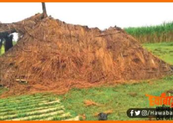 Bihar ka sarkari School, Bihar ke sarkari school ki halat, Bihar news, Bihar lettest news, Bihar update, Bihar khabar, Bihar hindi news, Bihar ka hal behal, Sharm Karo nitish Kumar, Nitish Kumar sharm karo, Bihar news, Bihar hindi news,