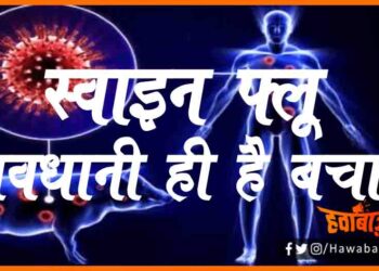 Swine Flue, Swine Flu se kaise bache, Kya hai swine flue, Swine flu se bachaw, Doctor bata rahe hain, Doctor saheb, Bihar news, Bihar hindi samachar, Bihar khabar, Bihar hindi news