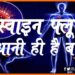 Swine Flue, Swine Flu se kaise bache, Kya hai swine flue, Swine flu se bachaw, Doctor bata rahe hain, Doctor saheb, Bihar news, Bihar hindi samachar, Bihar khabar, Bihar hindi news
