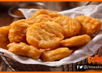 Chicken Nuggets, Chicken Nuggets Khane par milega Salary,Azab Gazab, Bihar Lettest news, Bihar khabar, Chicken nuggets news,