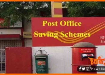 Post Office Scheem, Post Office Scheem news, Saving Scheem, Indian post, Bihar hindi news, Bihar update, Bihar lettest news, Bihar khabar, Bihar hindi news, Bihar samachar,