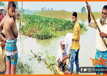 Shav ko dafnane ke liye jana pada 2 kilomitar, Bihar me Badh se halat kharab, Bihar me badh, Flood in Bihar, Bihar news, Bihar hindi news, Bihar lettest update, Bihar news, Bihar hind news,